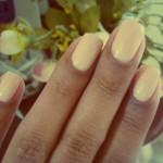 UNHAS-NUDE